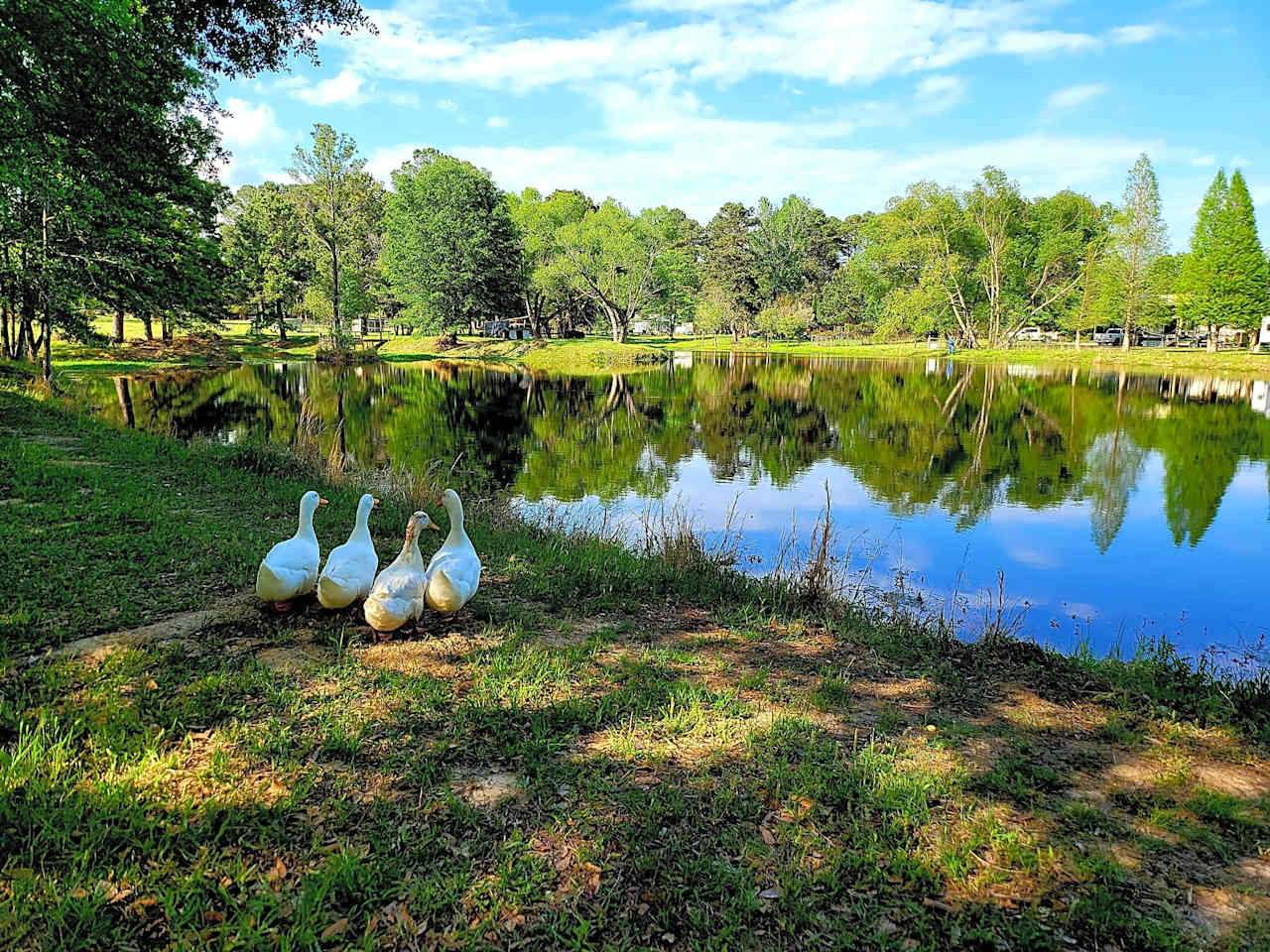 Marshall RV Park