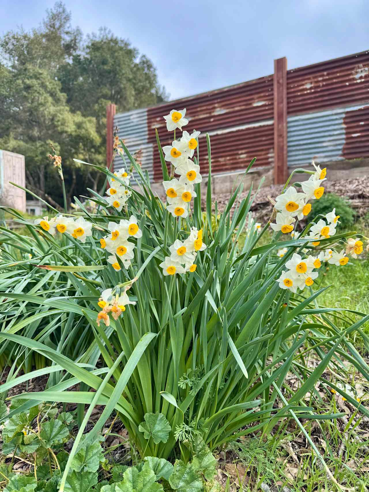 Hidden Spring Ranch