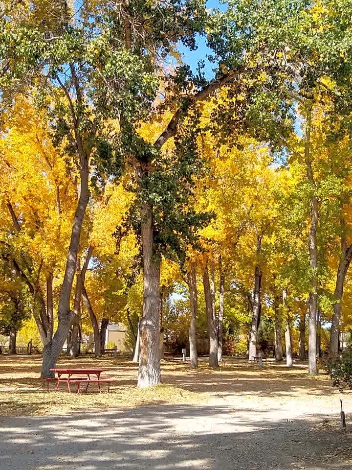 Indian Campground & RV Park