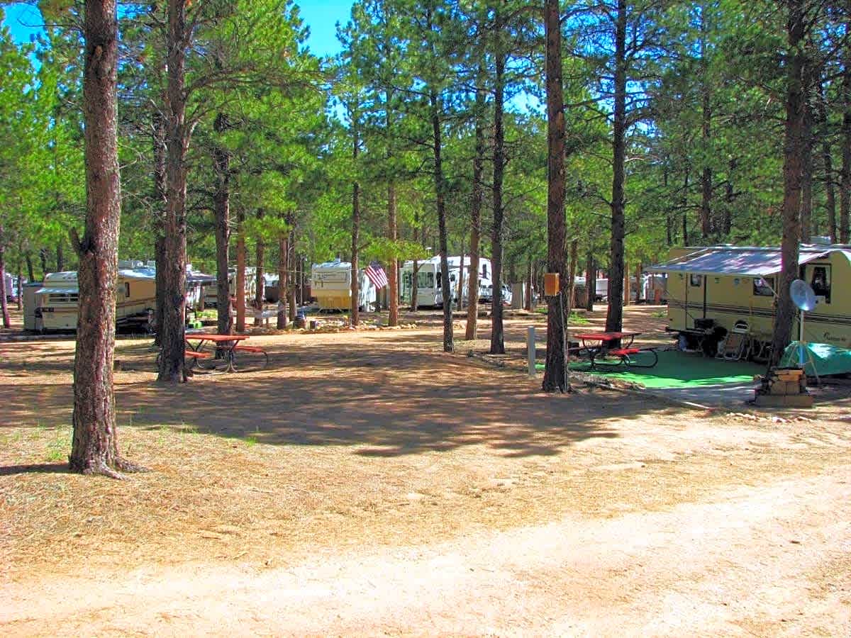 Diamond Campground And RV Hipcamp In Woodland Park Colorado