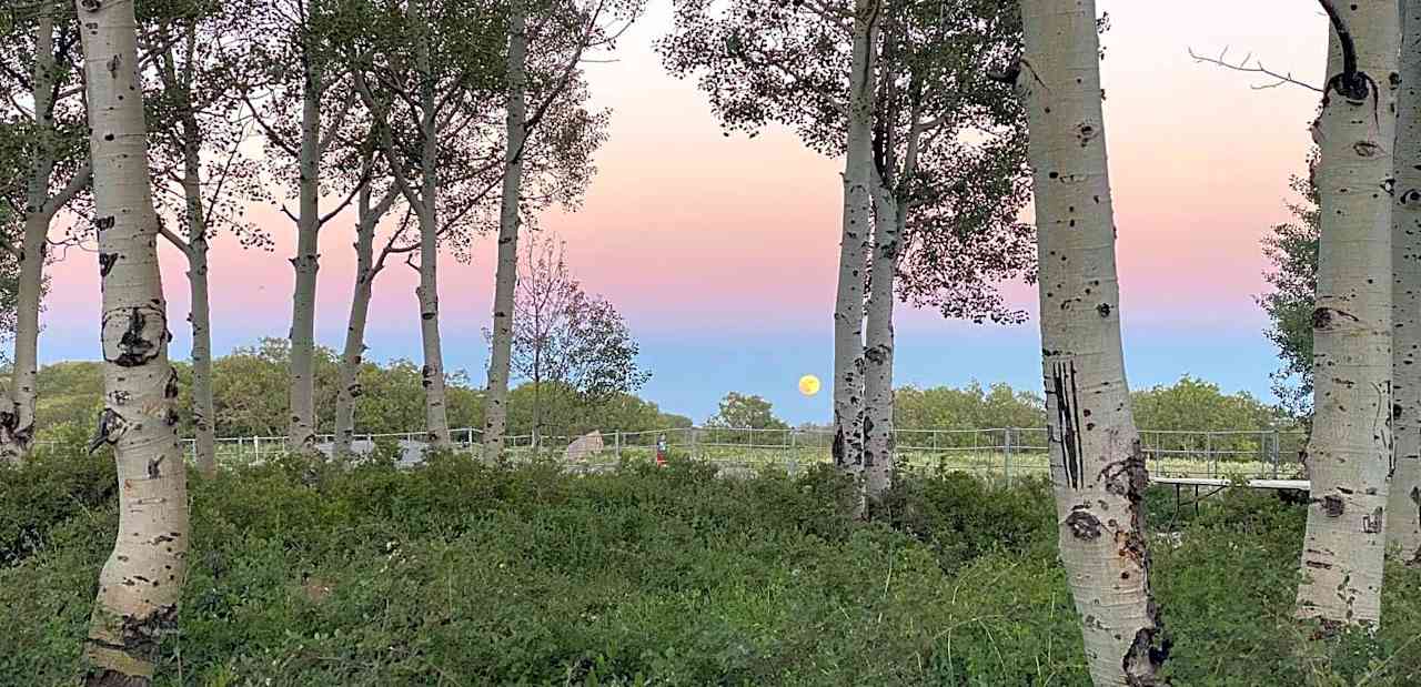 Kolob Reservoir Campground