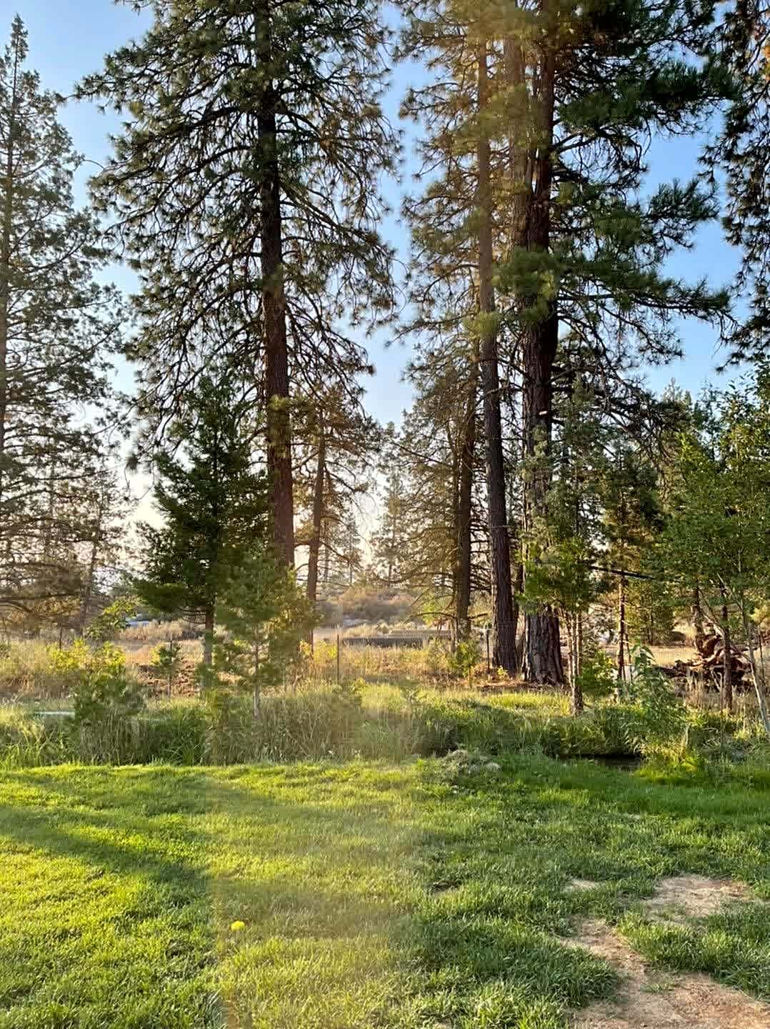 Hat Creek Hereford Ranch Campground - Hipcamp in Hat Creek, California