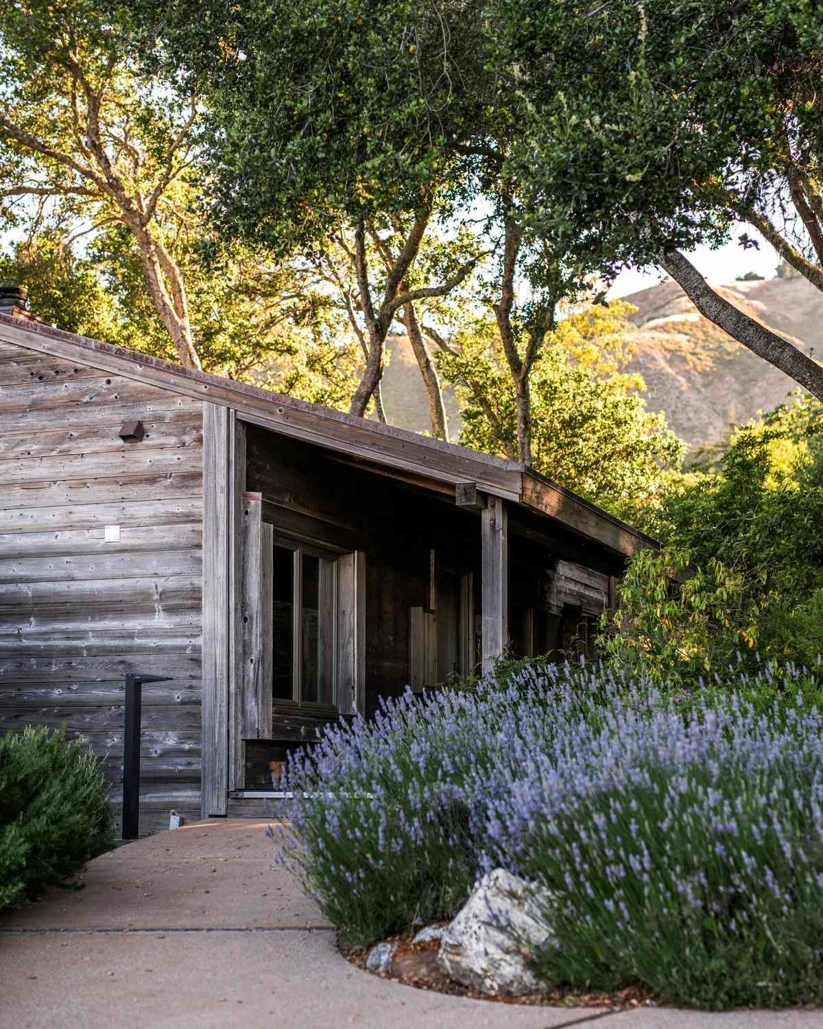 Ventana Big Sur