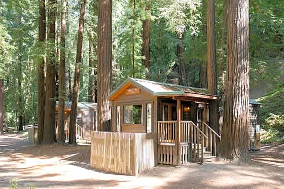 Fernwood Resort