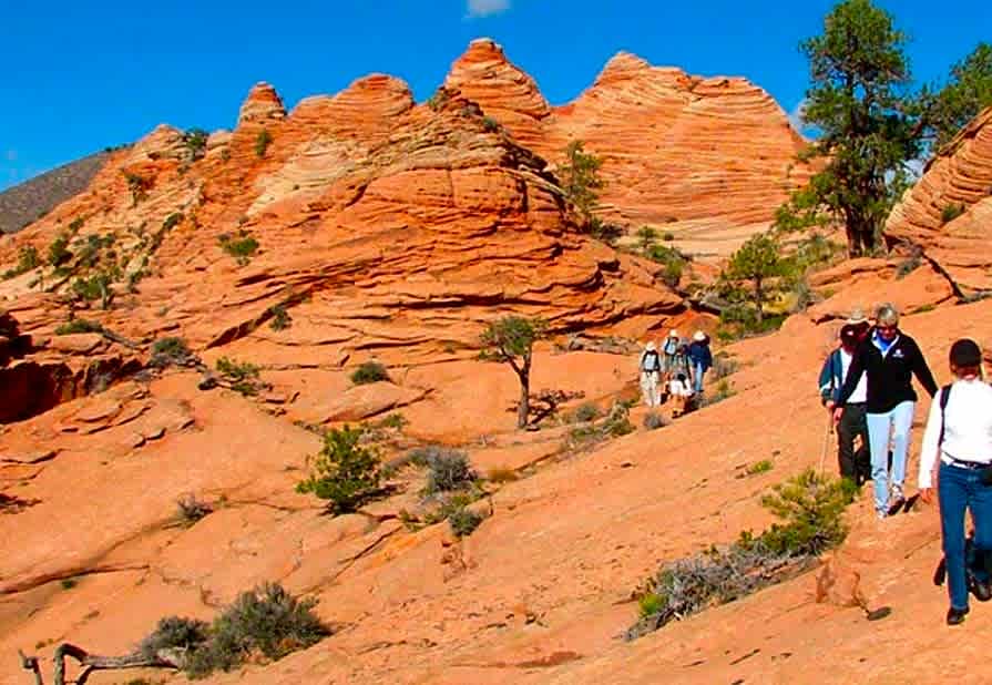 Zion River Resort