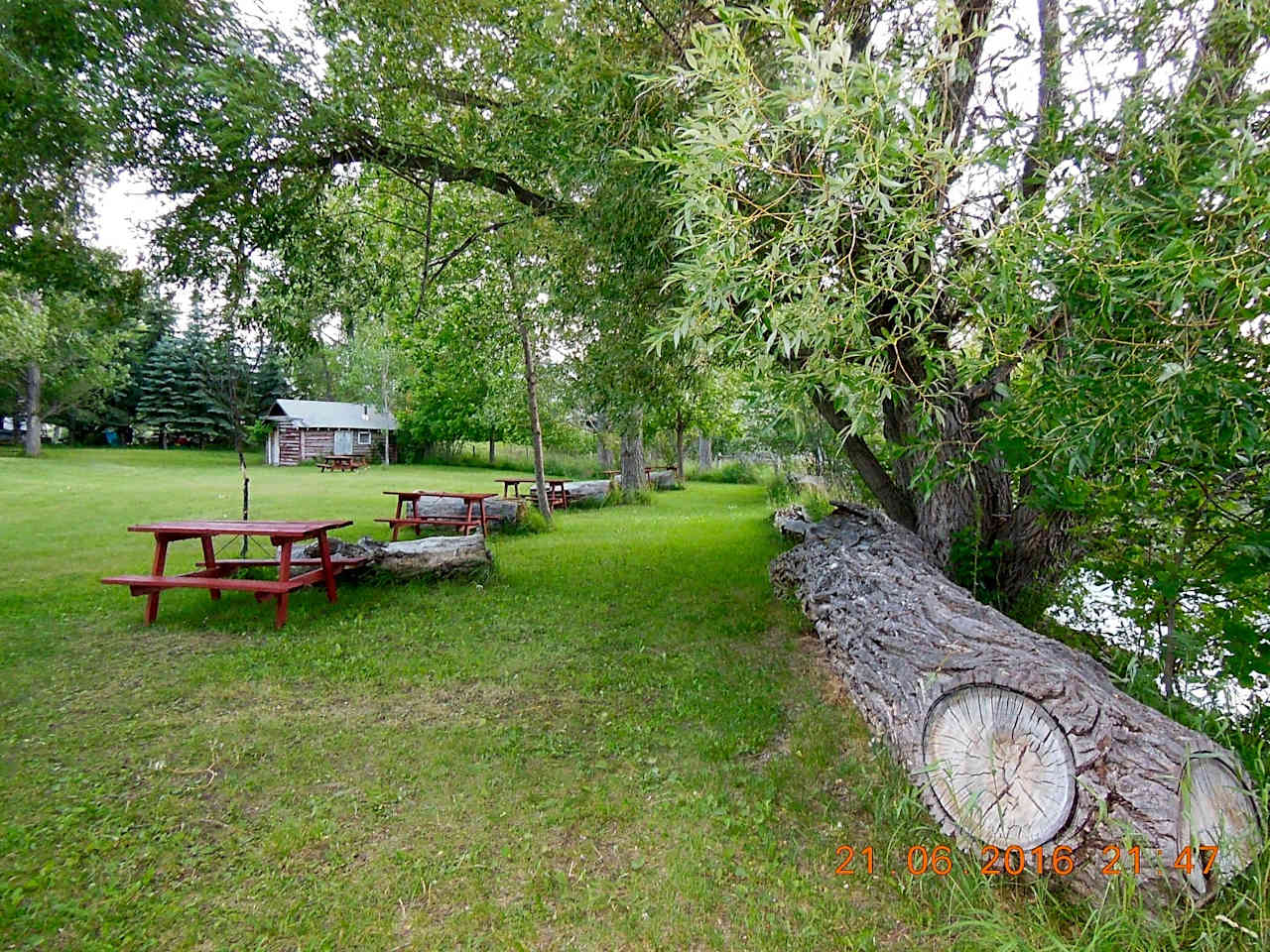 Foothills Motel and Campground