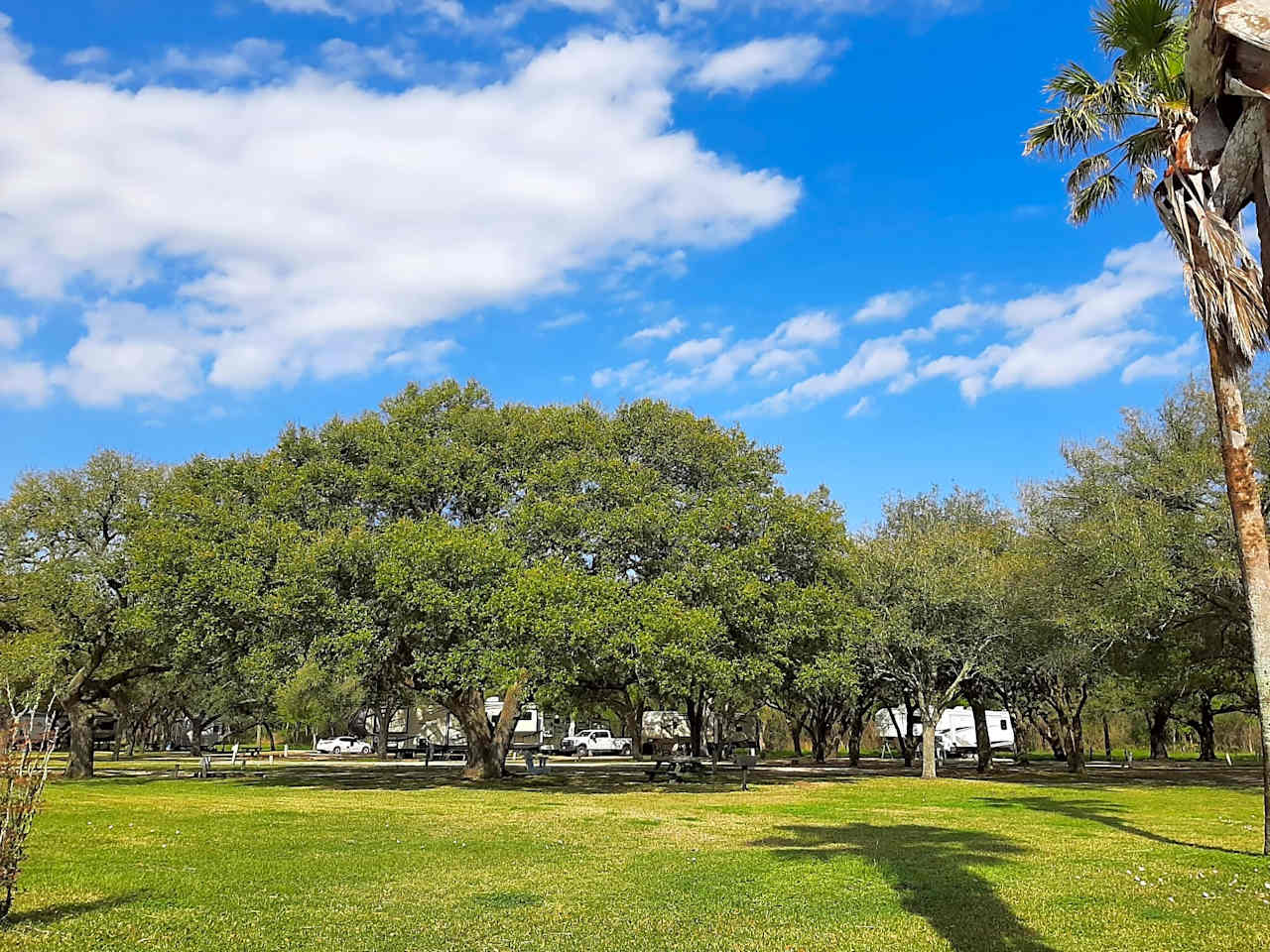 Shady Oaks RV Resort