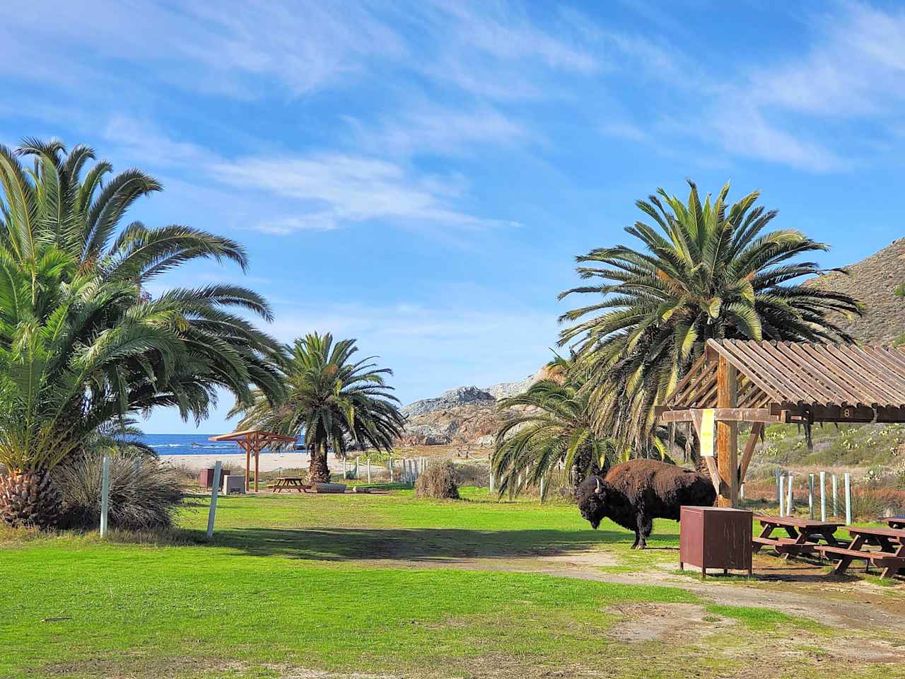 Catalina Island Company