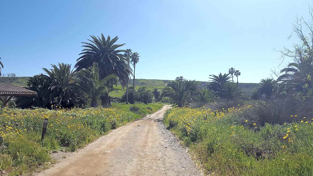 Catalina Island Company