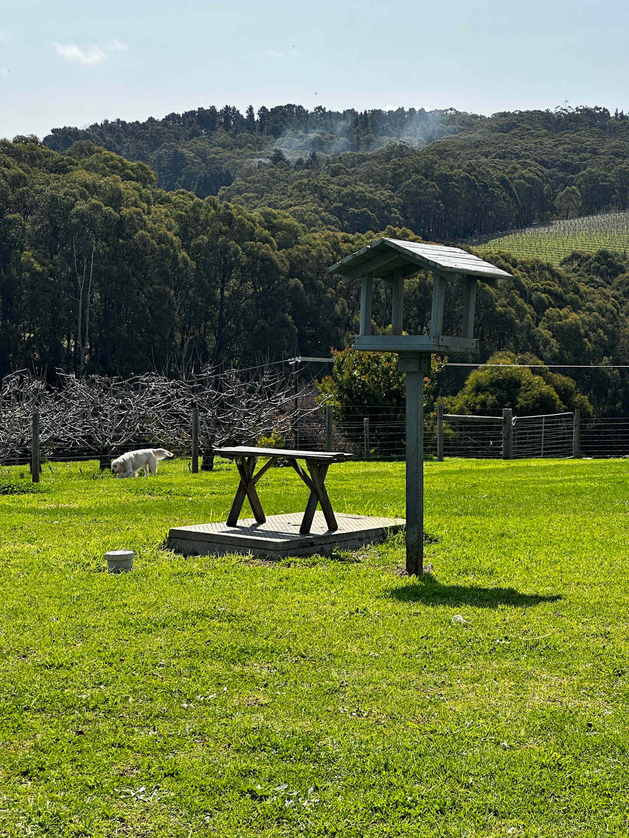 Stone’s Summertown Cherry Farm