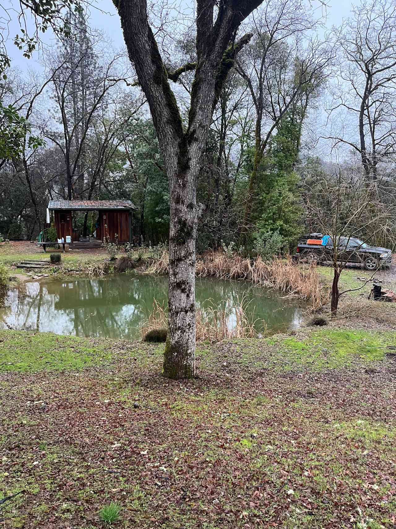 spirit chicken ranch
