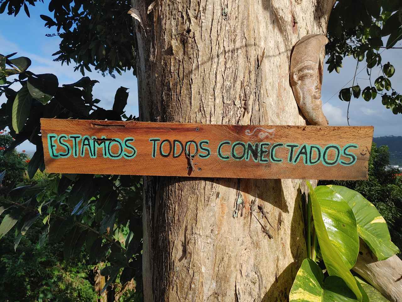 Mi Casa Eco-Camping