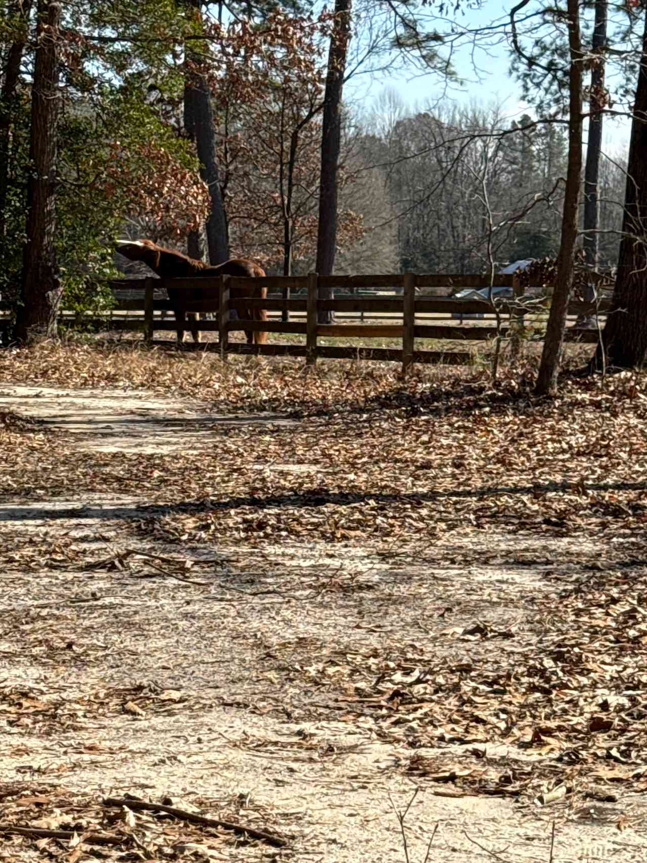 Peace Hill Farm
