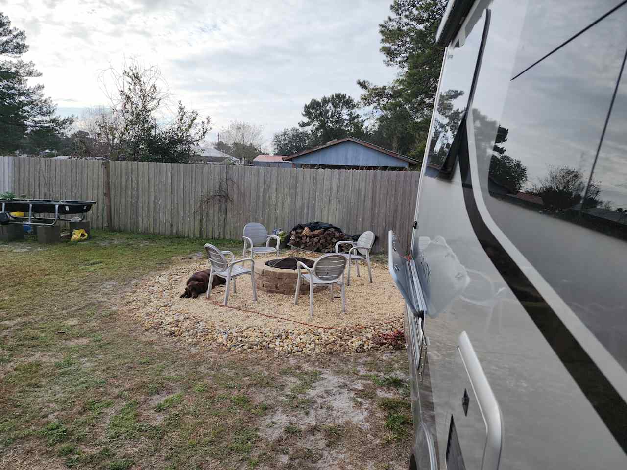 Dog Approved