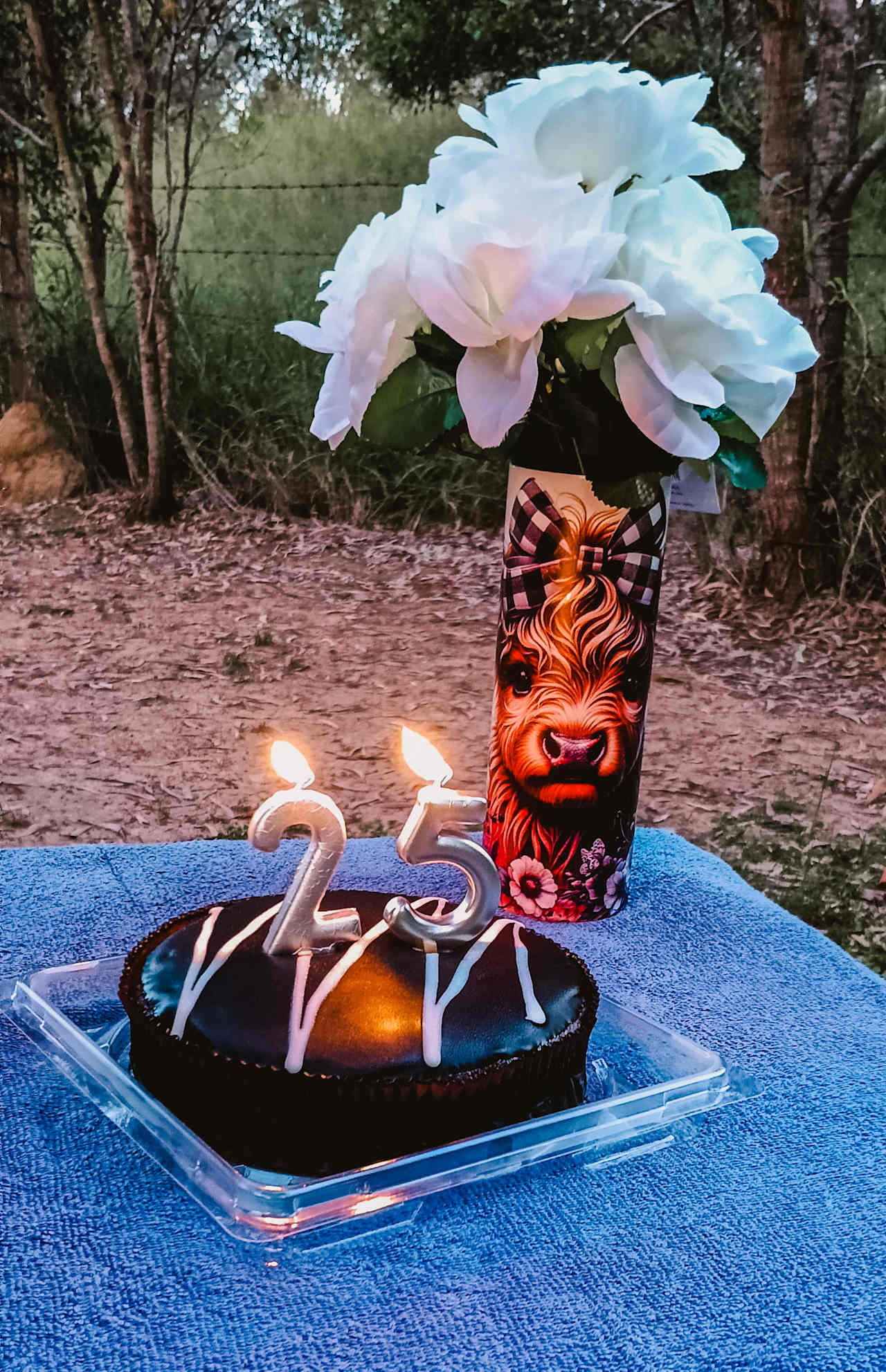 Happy 25th birthday to me 