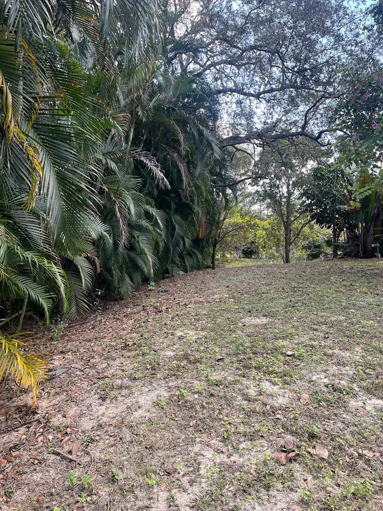 Jungle Bloom RV & Camping Escape
