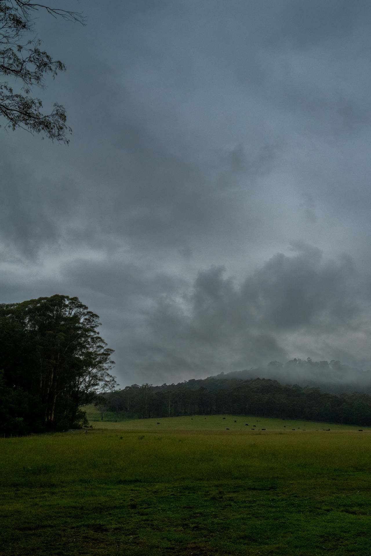 Beautiful outlook from the site
