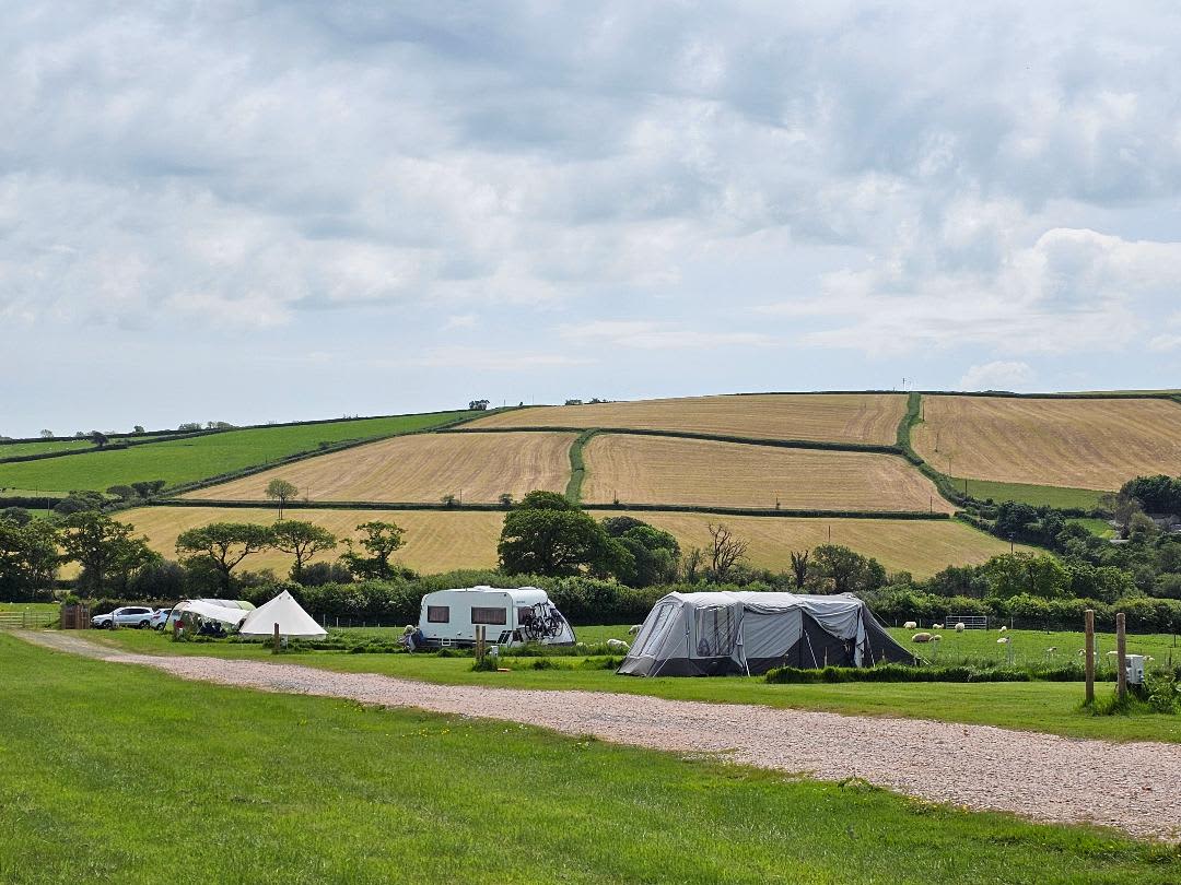 Wonton Park Camping