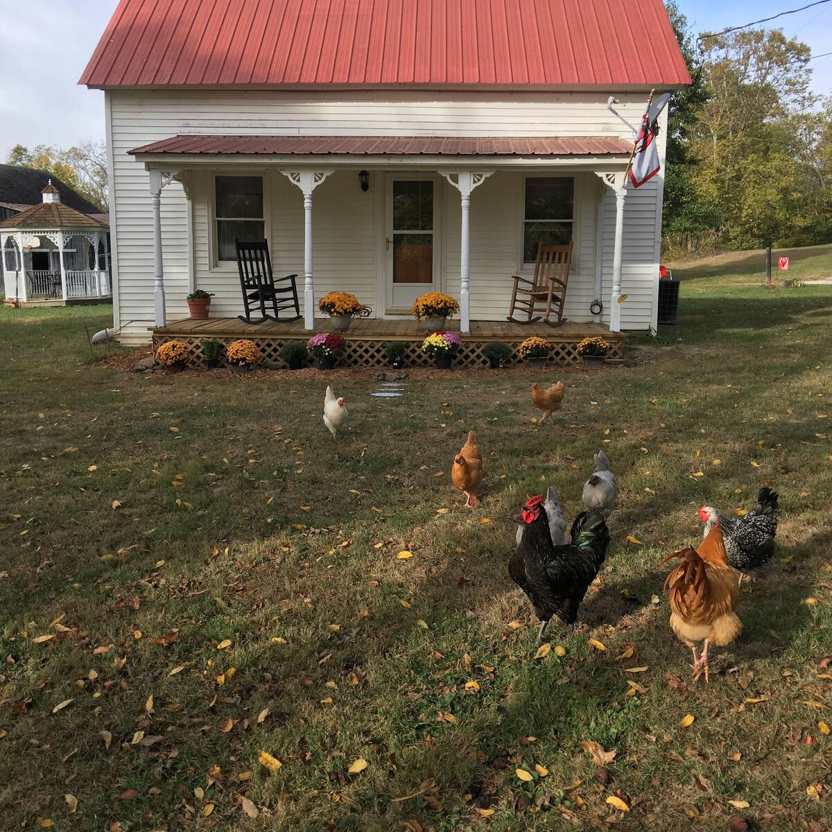 Stoner View Farm