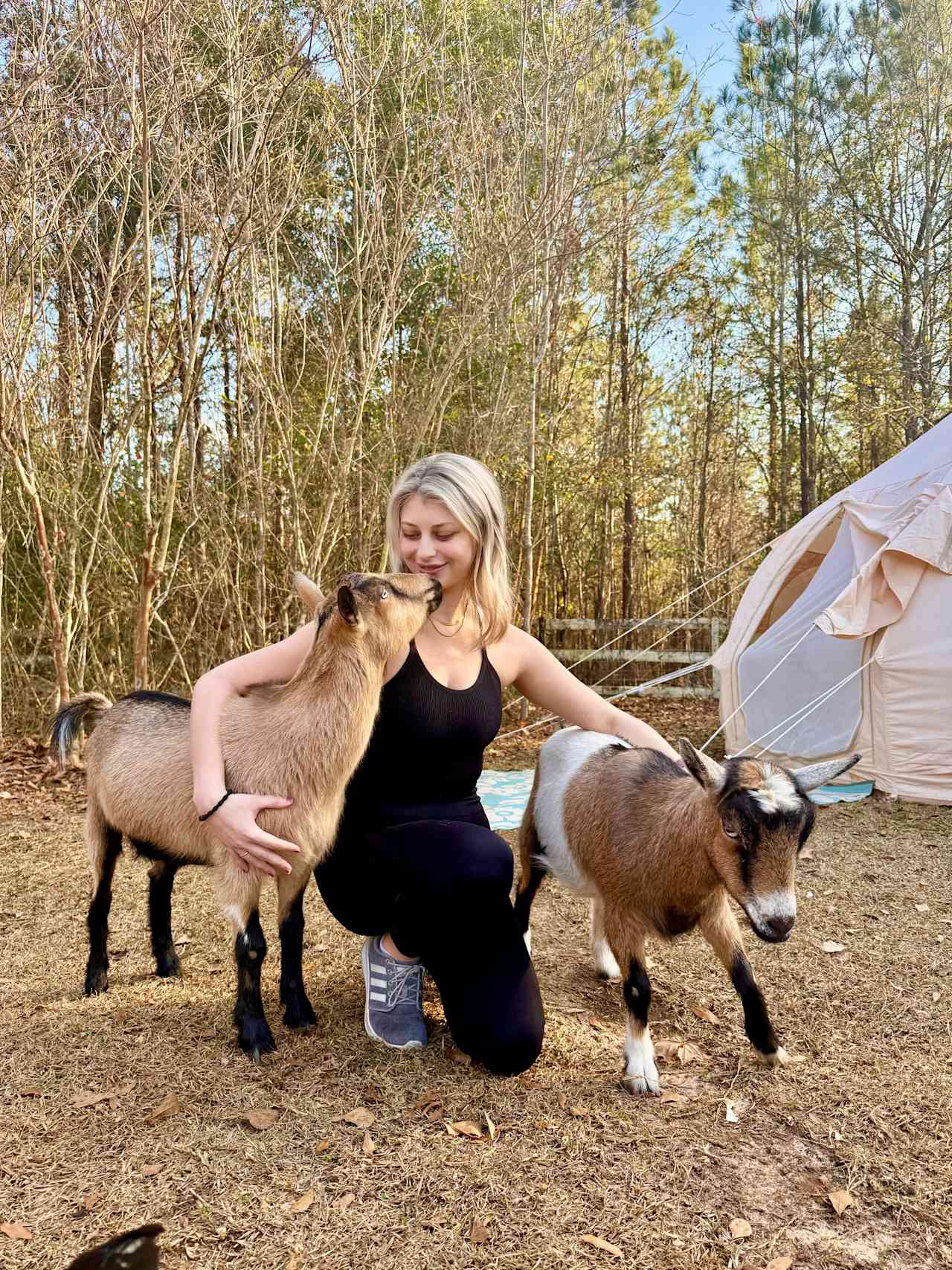 SandyLand Farmstay GlampingTherapy