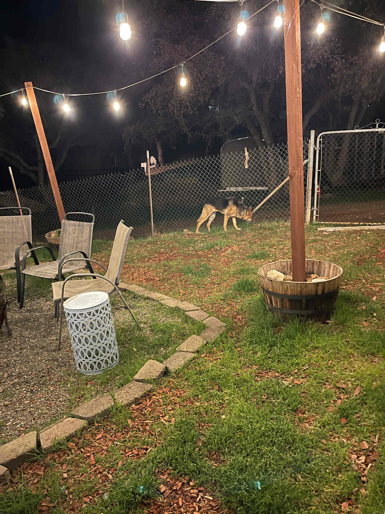Fenced in backyard 