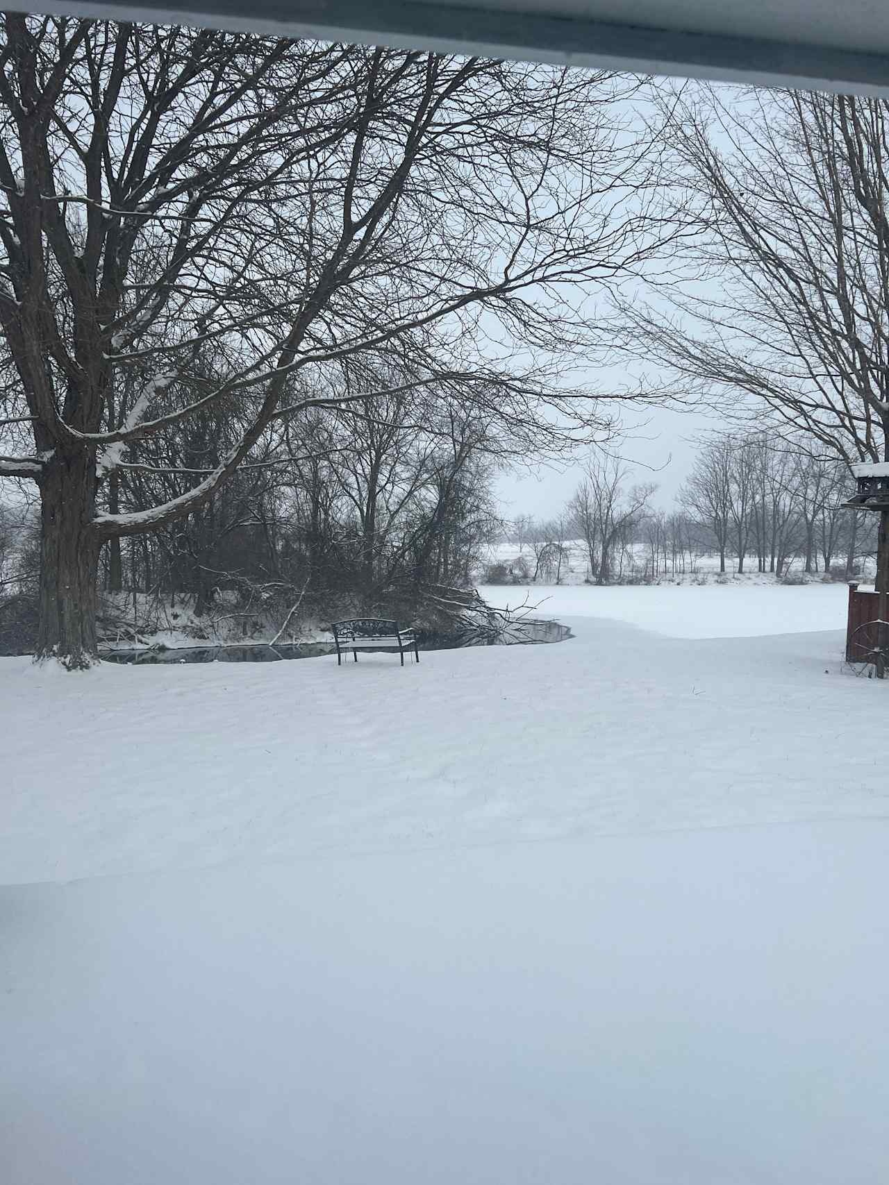 Little Turkey Ranch