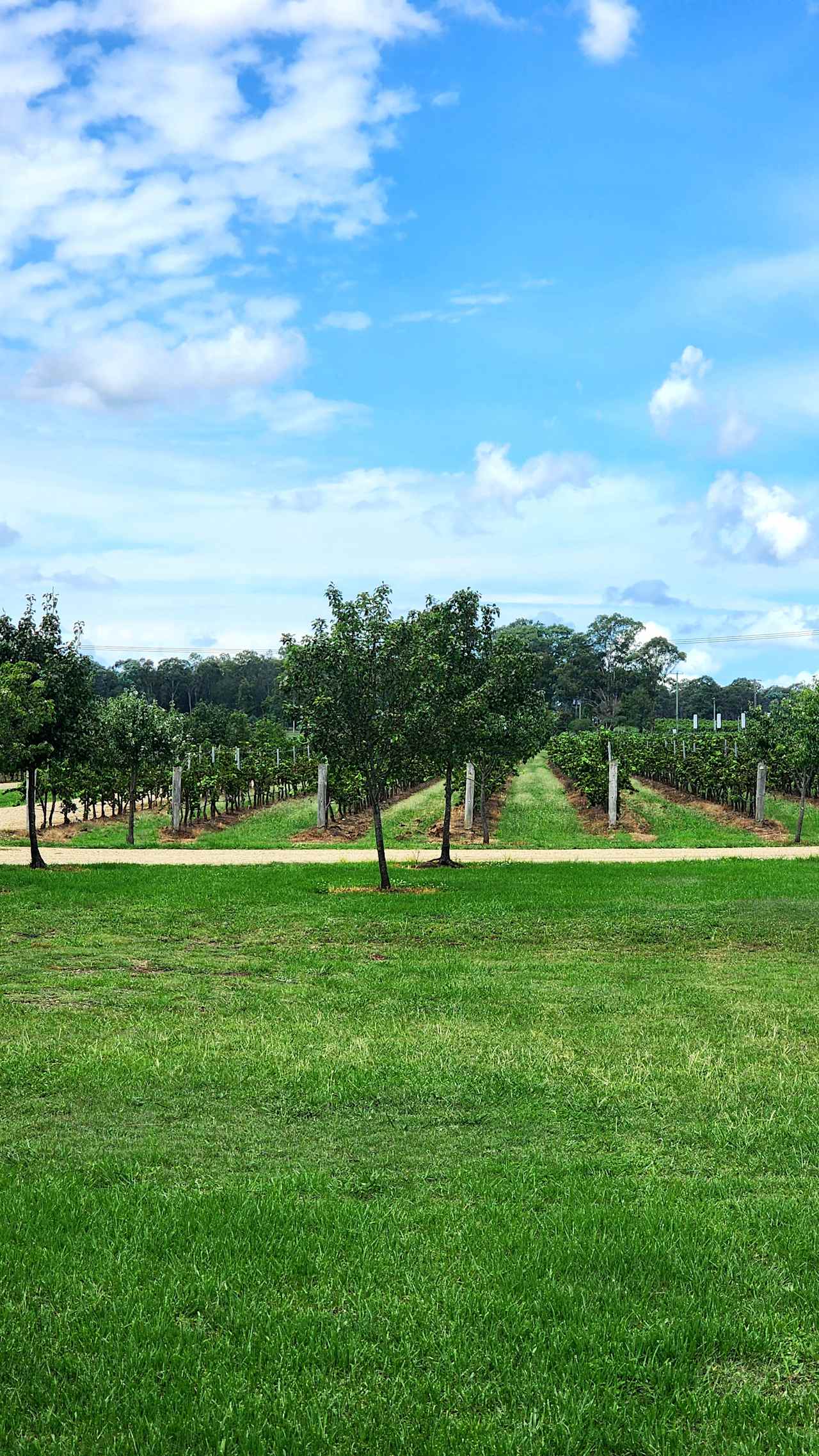 Domaine De Binet