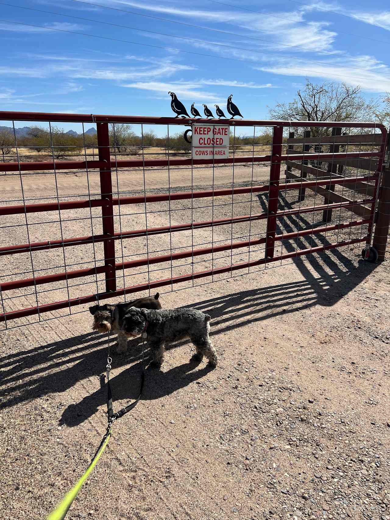 Iron Quail Ranch