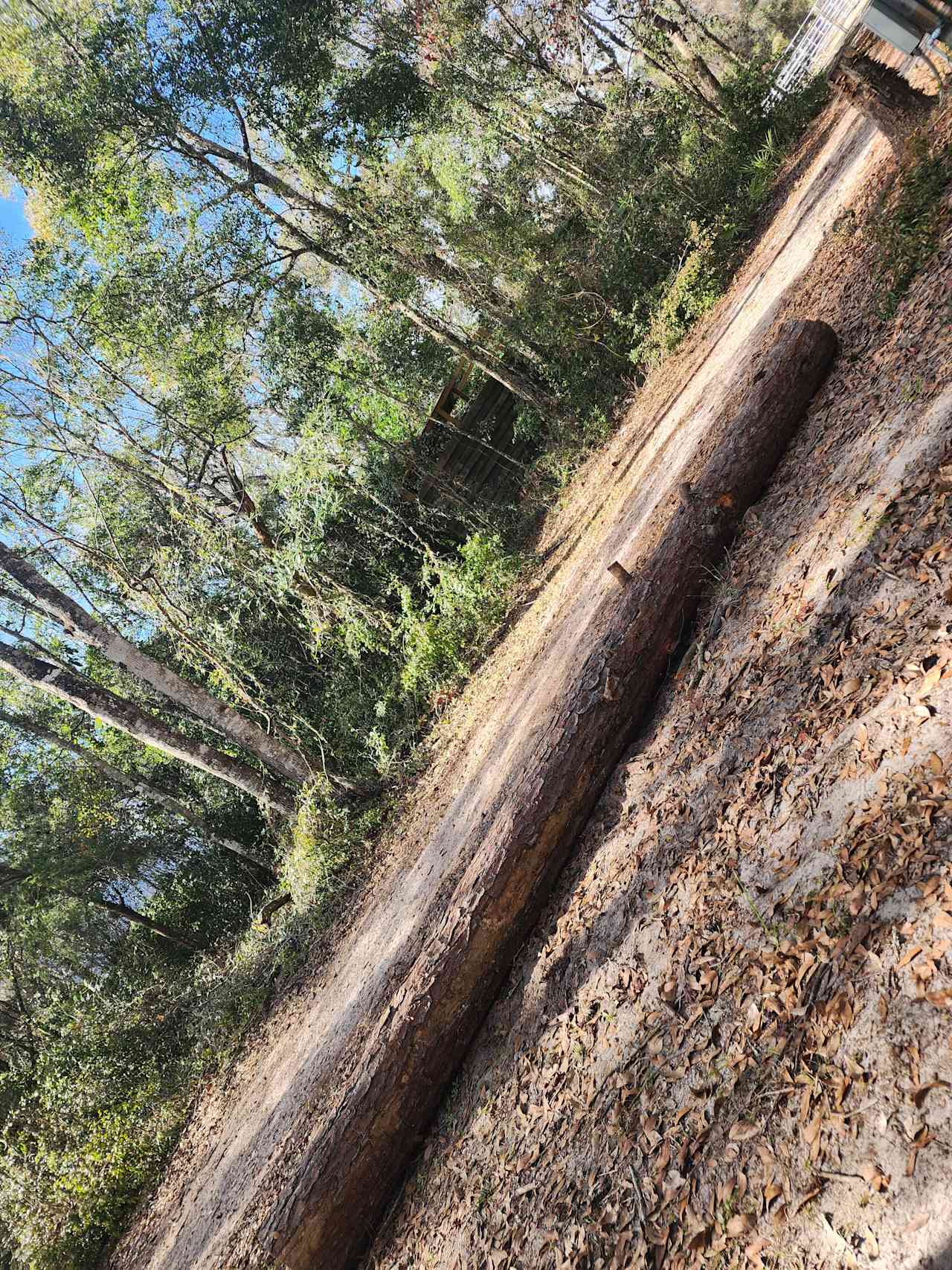 horse arena stalls trails rv spots