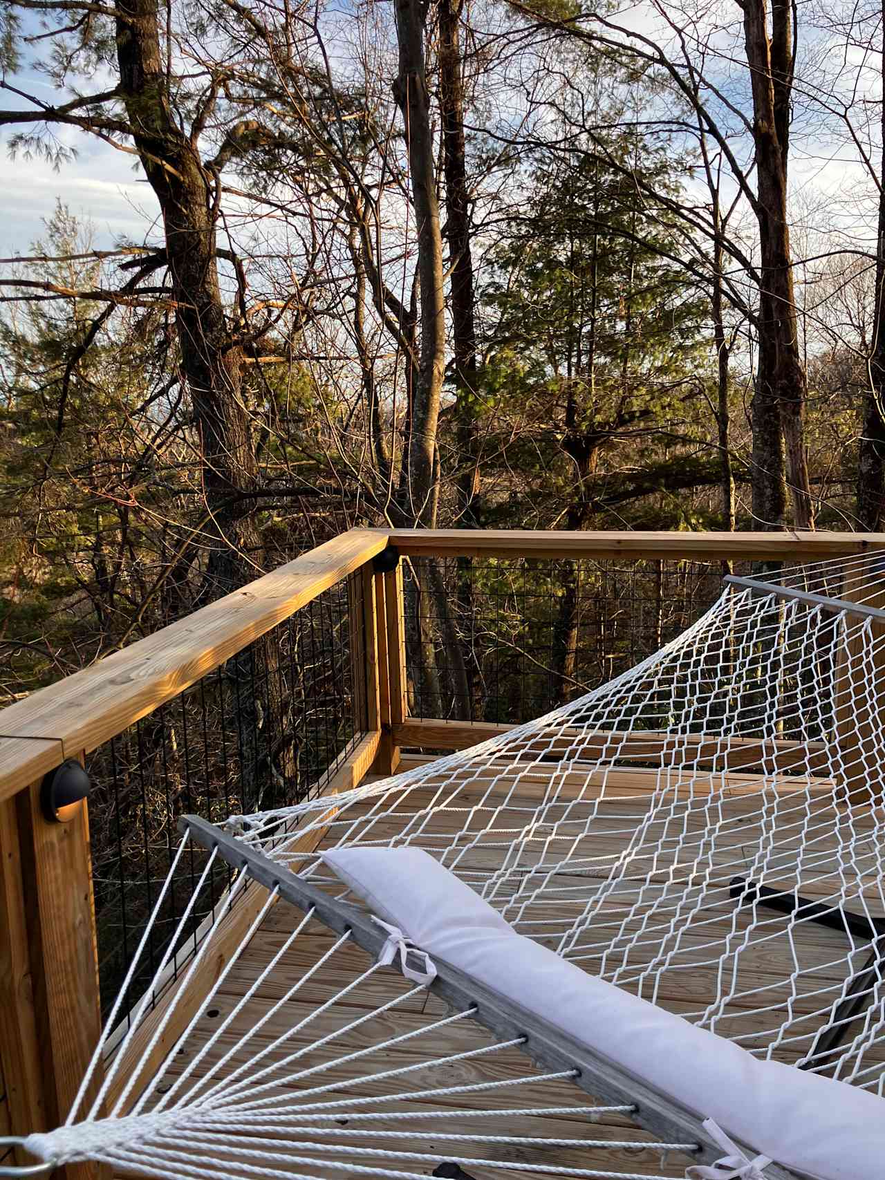 Blowing Rock TreePod & Geodome