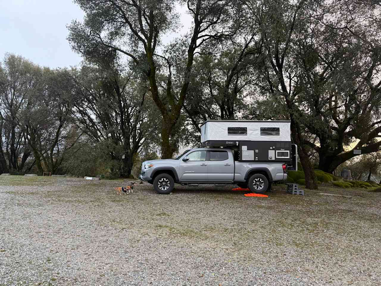 Camp 🏕 Gold Dust Vineyard