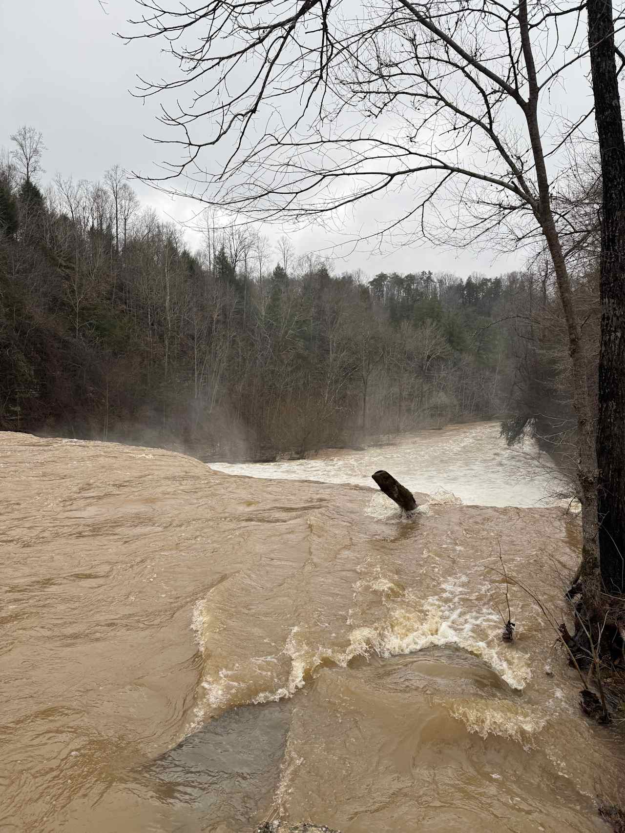 Waterloo Falls