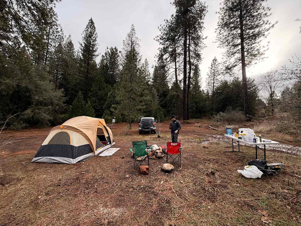 Thistledew Ranch