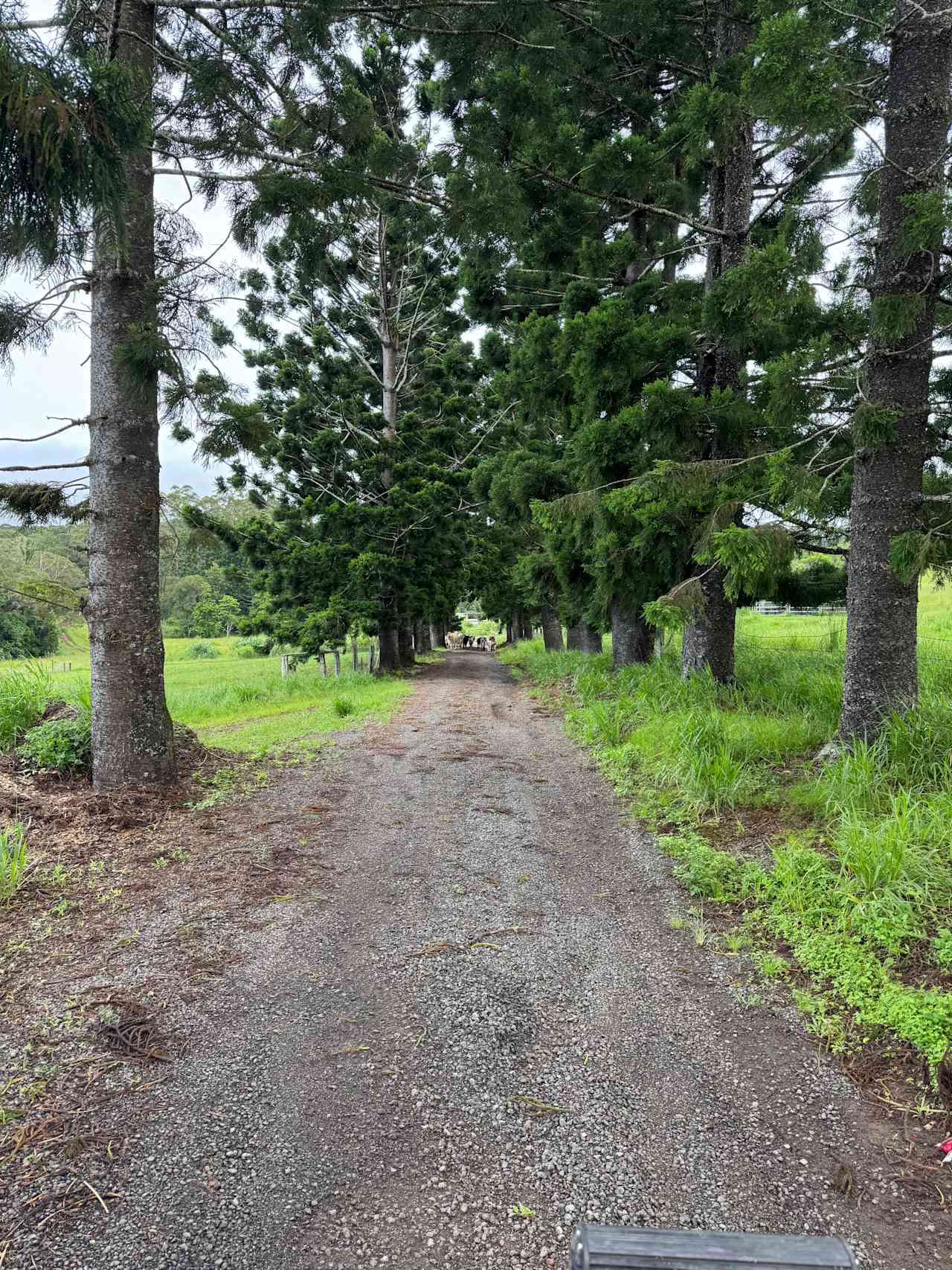 Barrine Farmstay And Camping