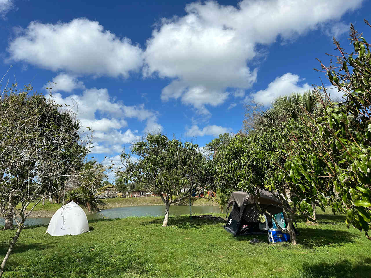 Our tent site near the pond. 