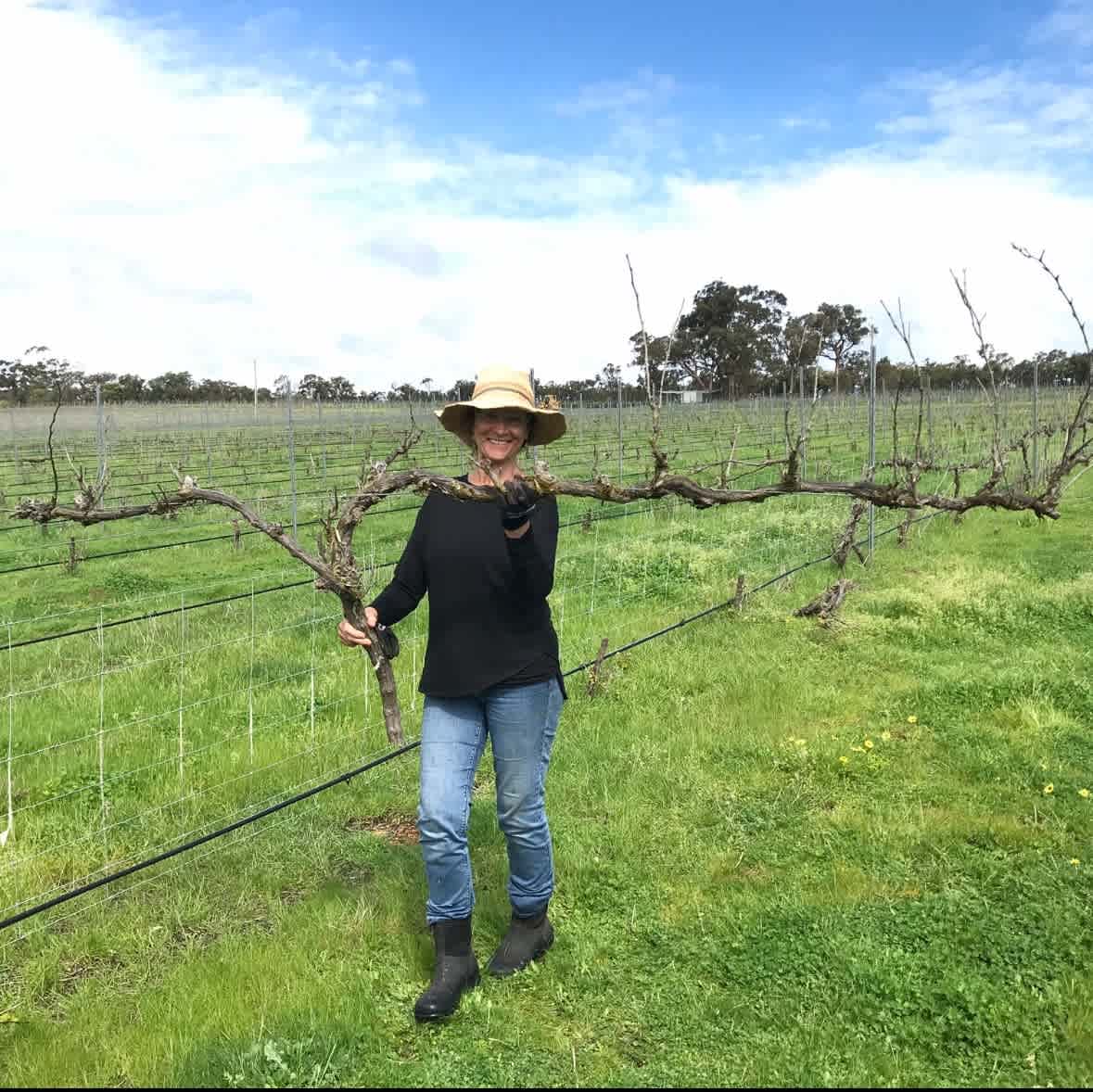 Big Nanna Vineyard