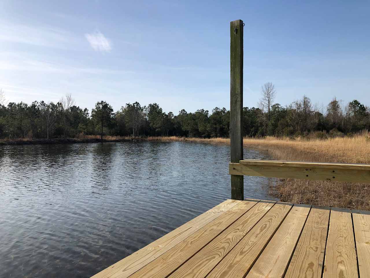 The Pine Tree Retreat
