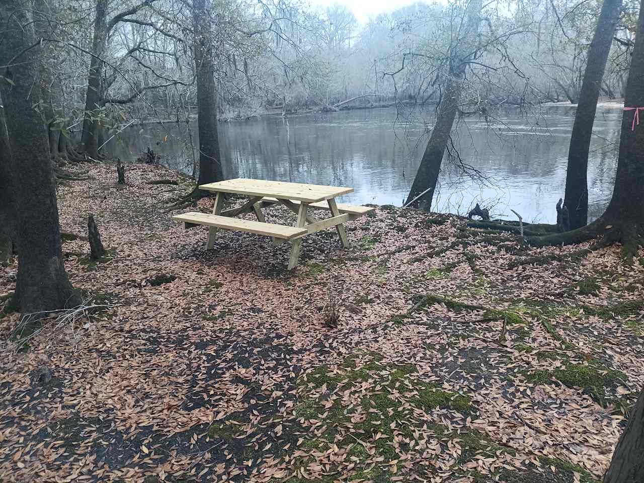 Edisto Camp And Canoe