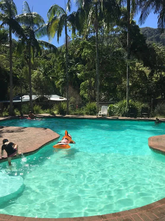 Mt Warning Rainforest Park