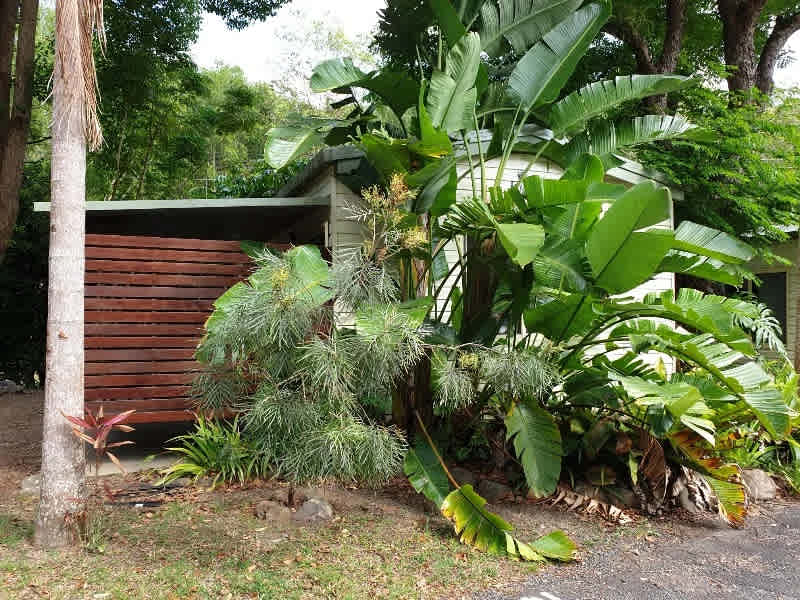 Mt Warning Rainforest Park