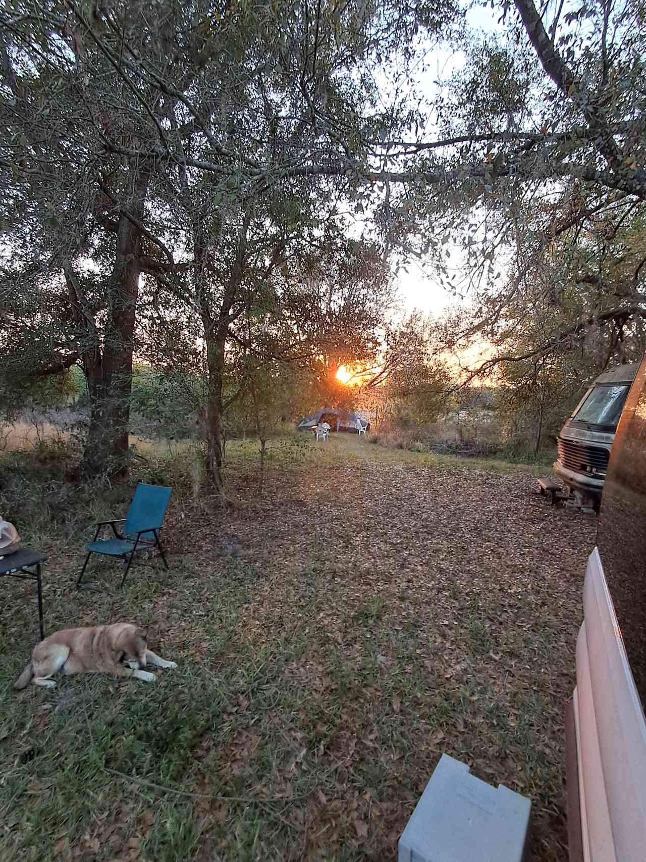 Honey ranch