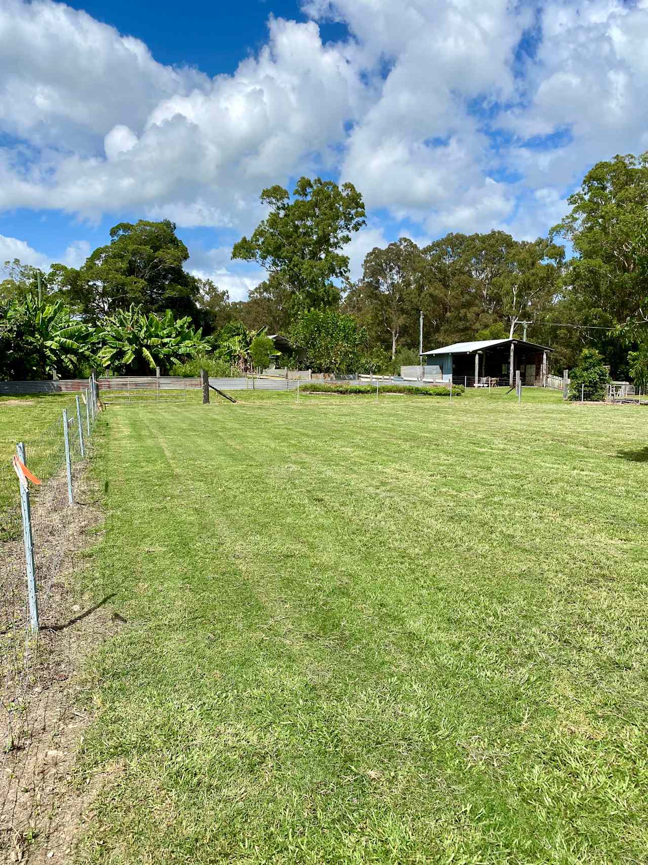 Bellwood Homestead Campground