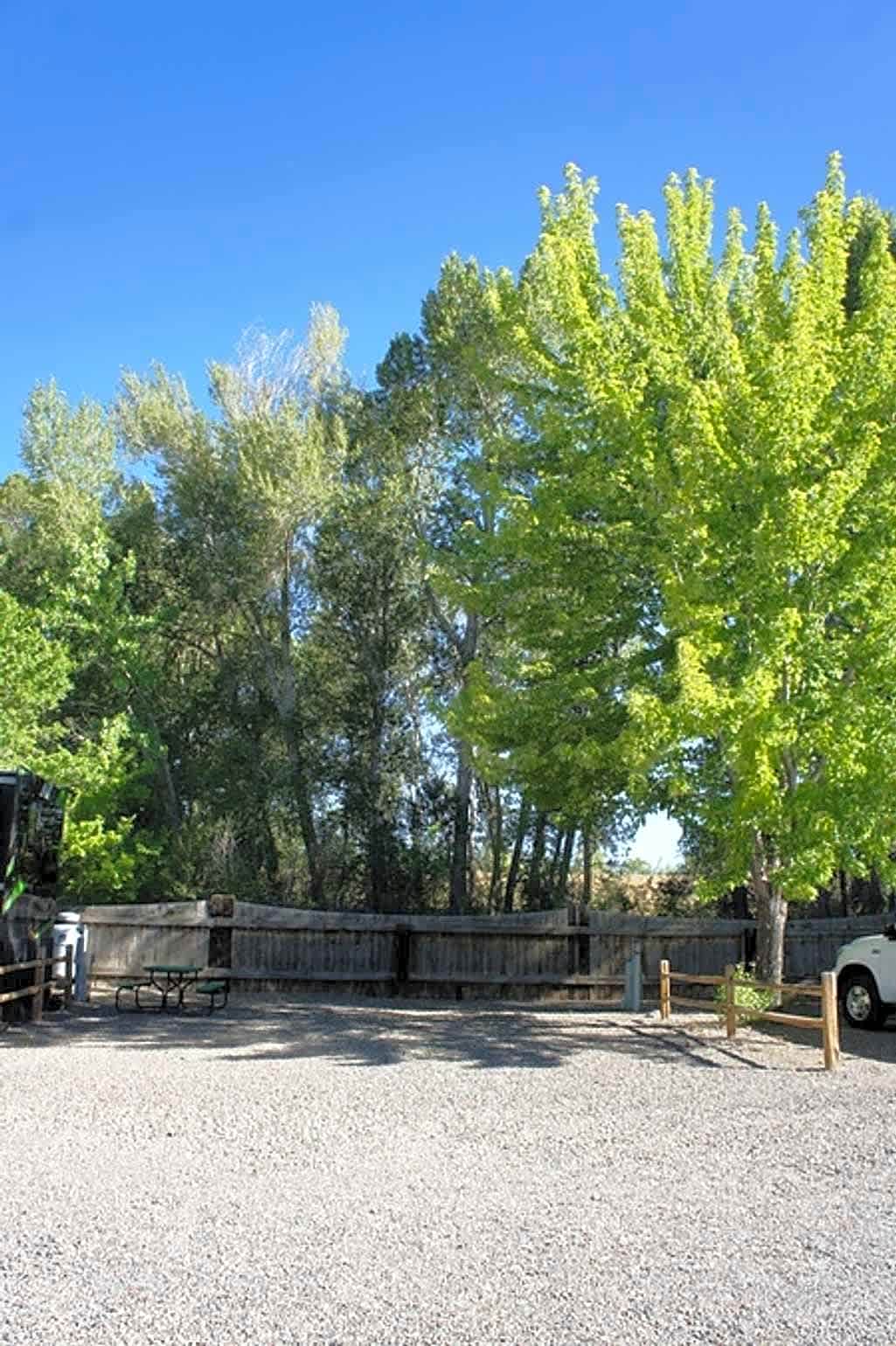 Back-In RV Site
