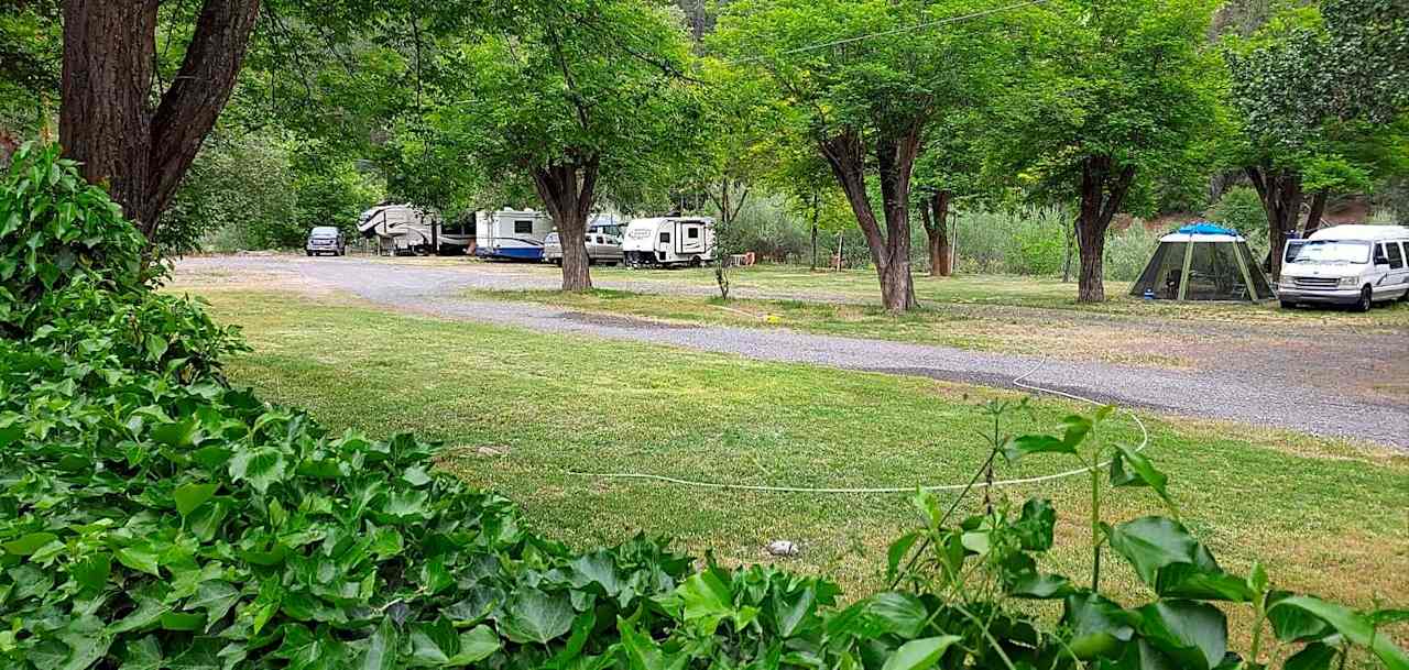 50 AMP RV/Tent Site