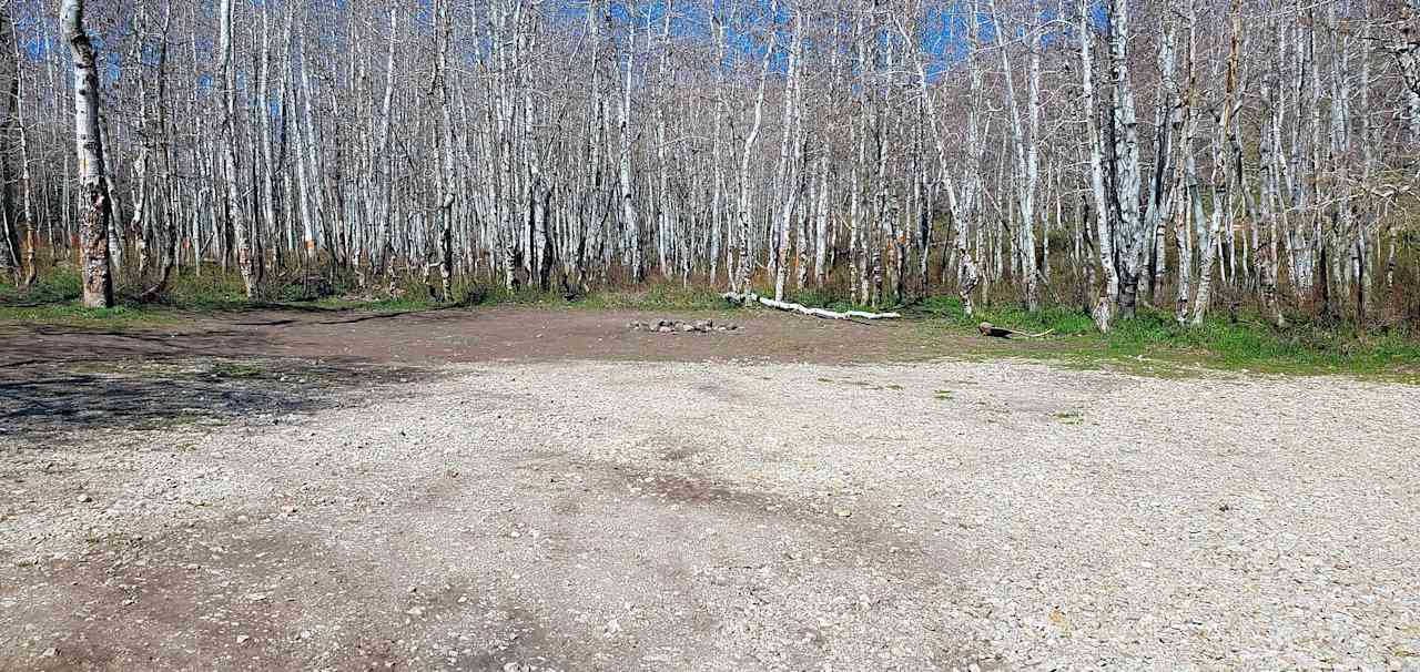 Large Site