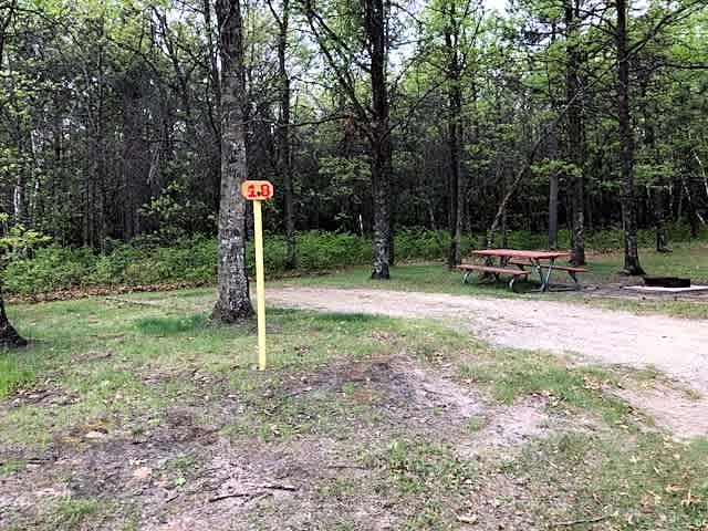 Primitive Site