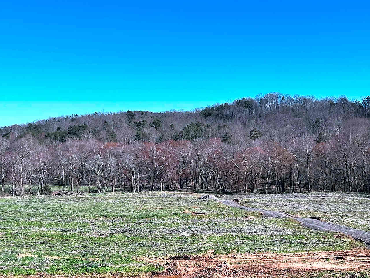 Tent Sites