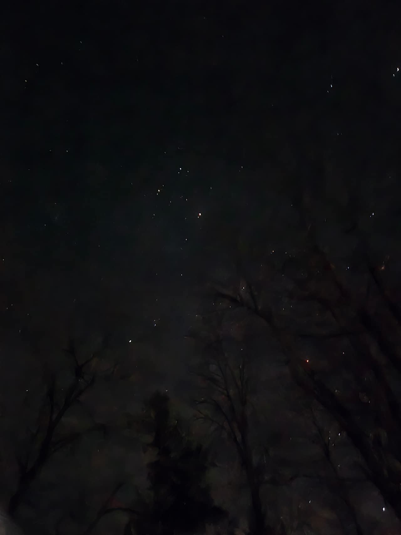 Stary night sky