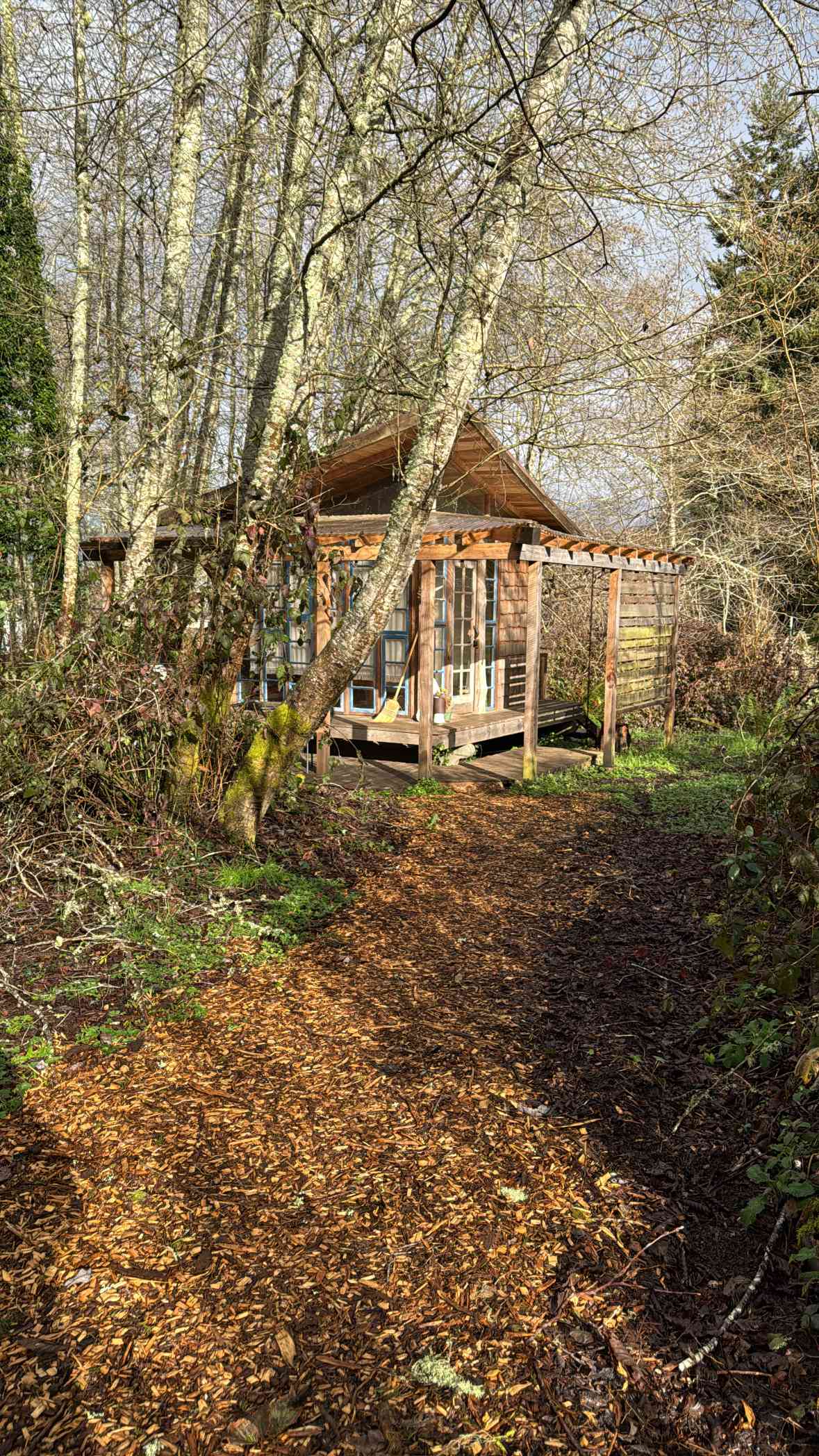 Bayside Cabin