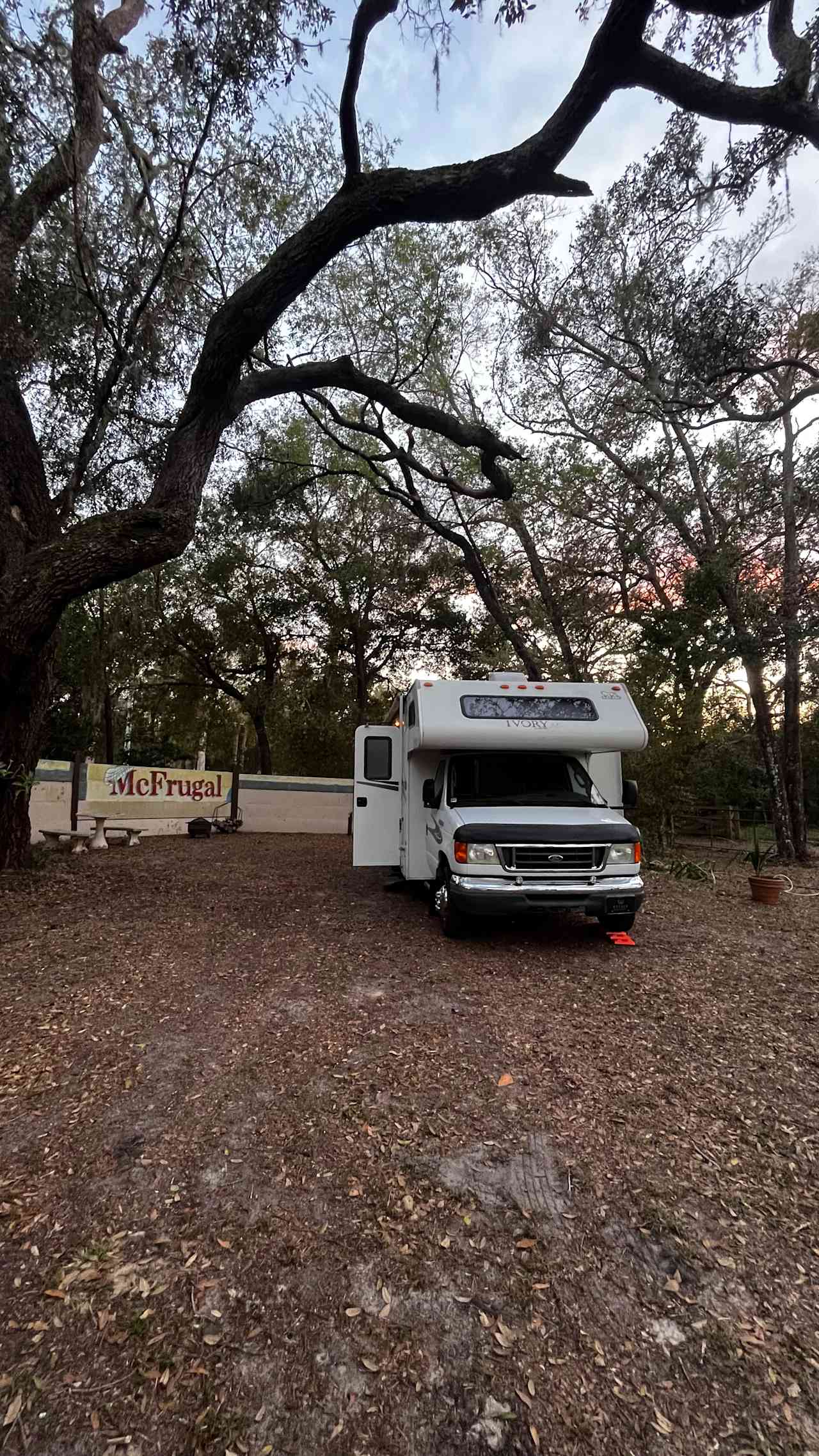 At Shady Oaks